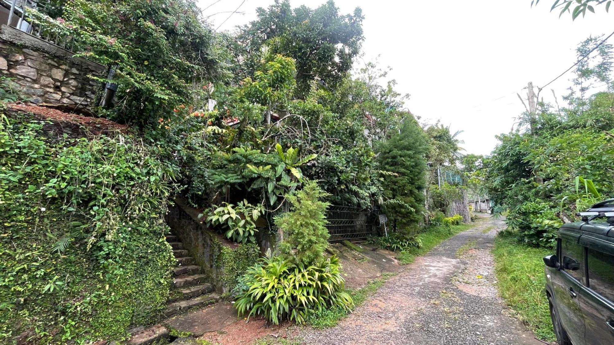 Accommodatie bij particulieren Pekoetrails Hantana Kandy