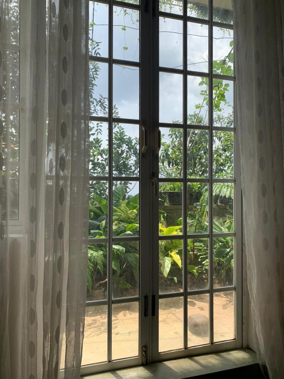 Pekoetrails Hantana Kandy