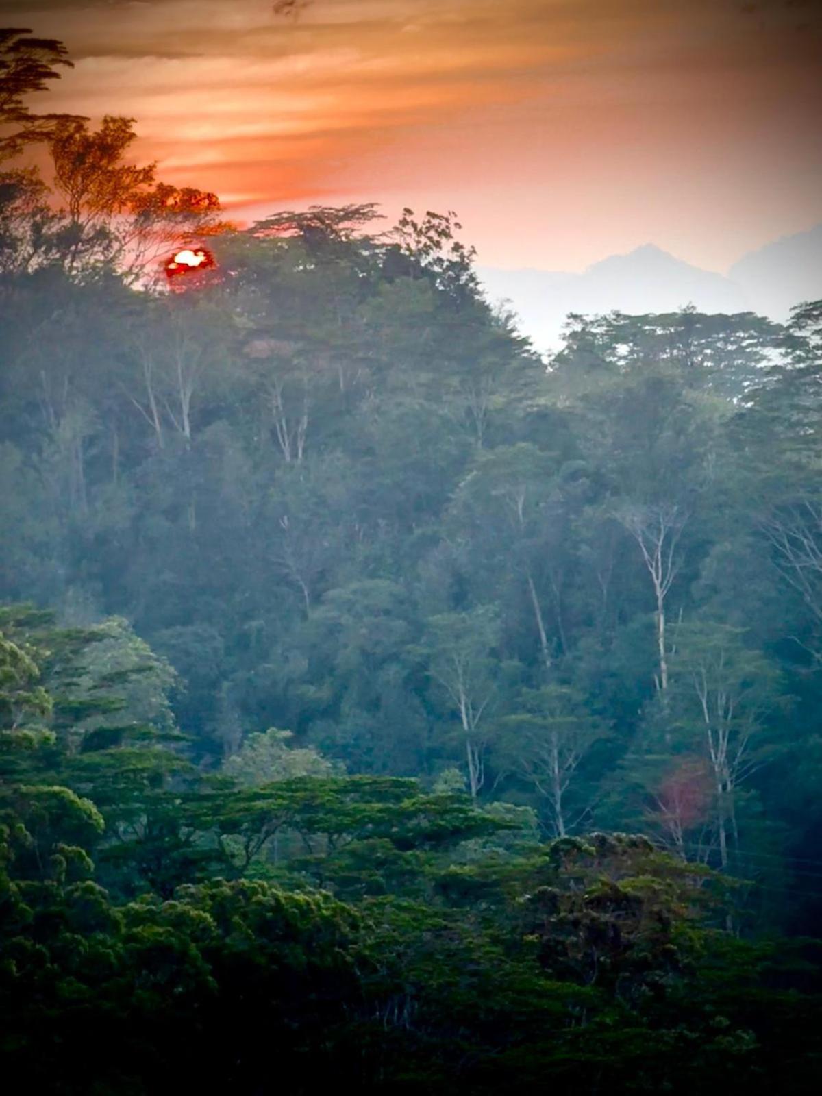 Pekoetrails Hantana * Kandy