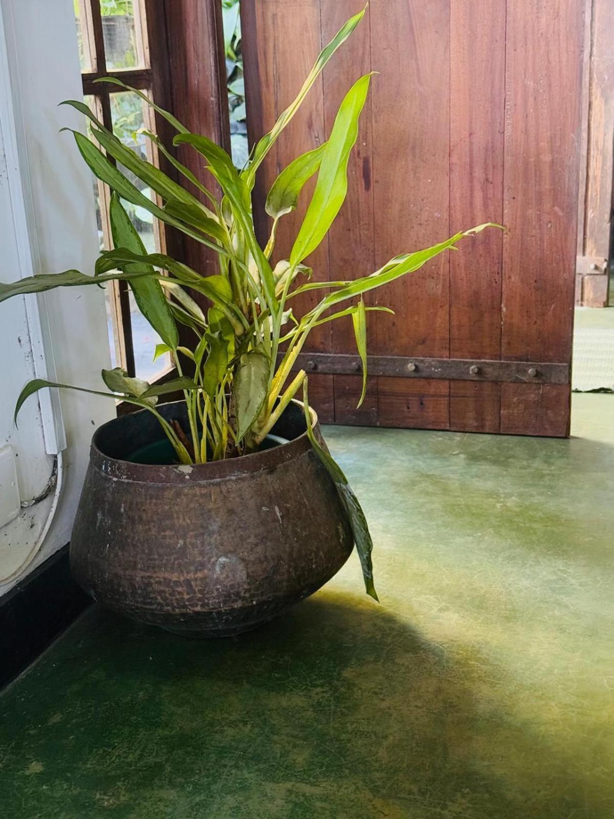 Pekoetrails Hantana Privatunterkunft *