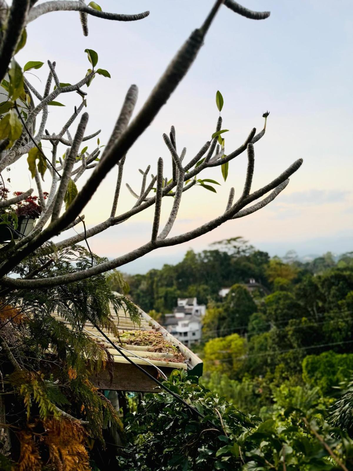 Pekoetrails Hantana Kandy