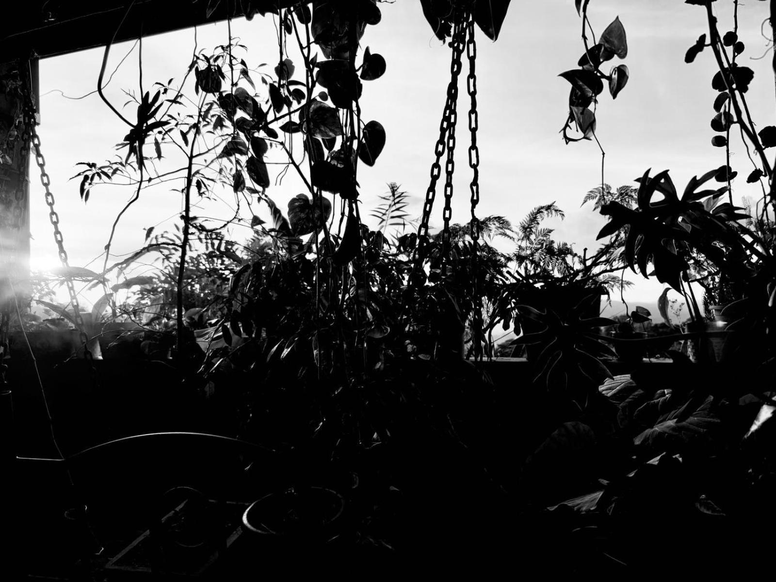 Pekoetrails Hantana Privatunterkunft Kandy